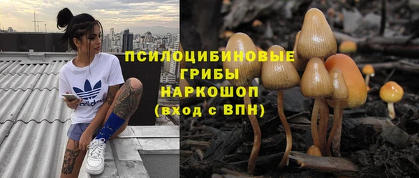 ALPHA PVP Бородино